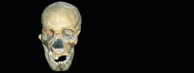 skull