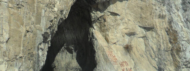 skull