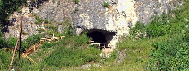 skull