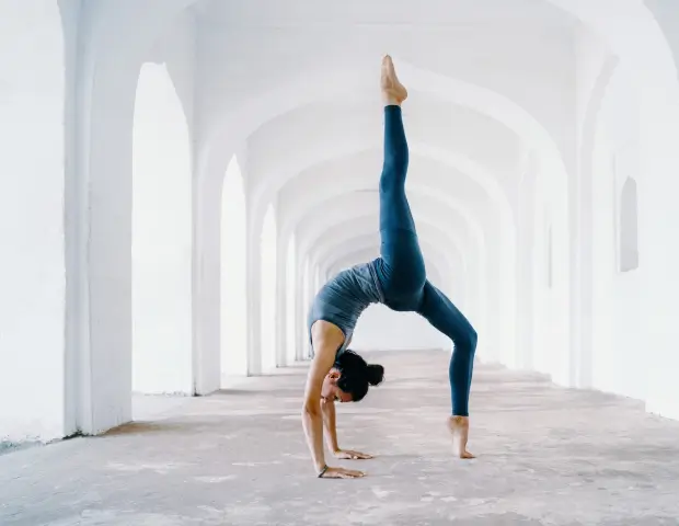 Organ wellness report