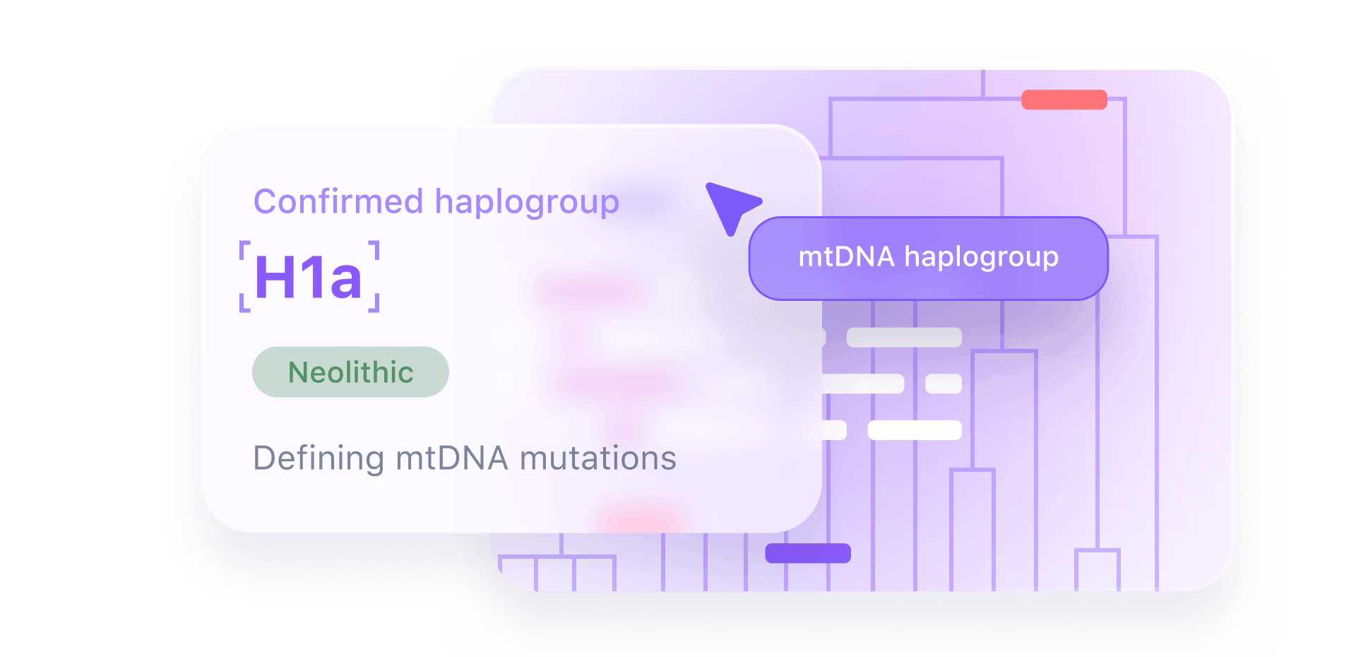 Your terminal haplogroup call