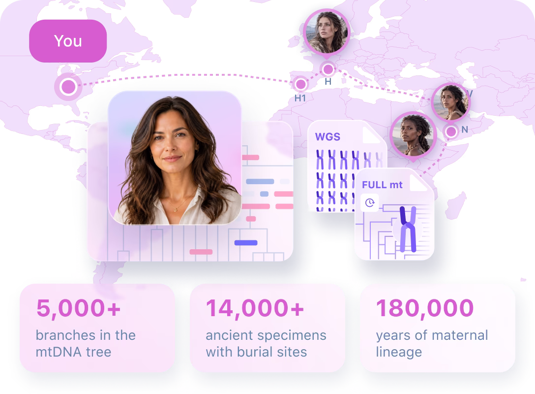 Illustration of the maternal lineage (mtDNA) report: a world map tracing a woman's maternal line to ancient relatives, with haplogroup stat cards