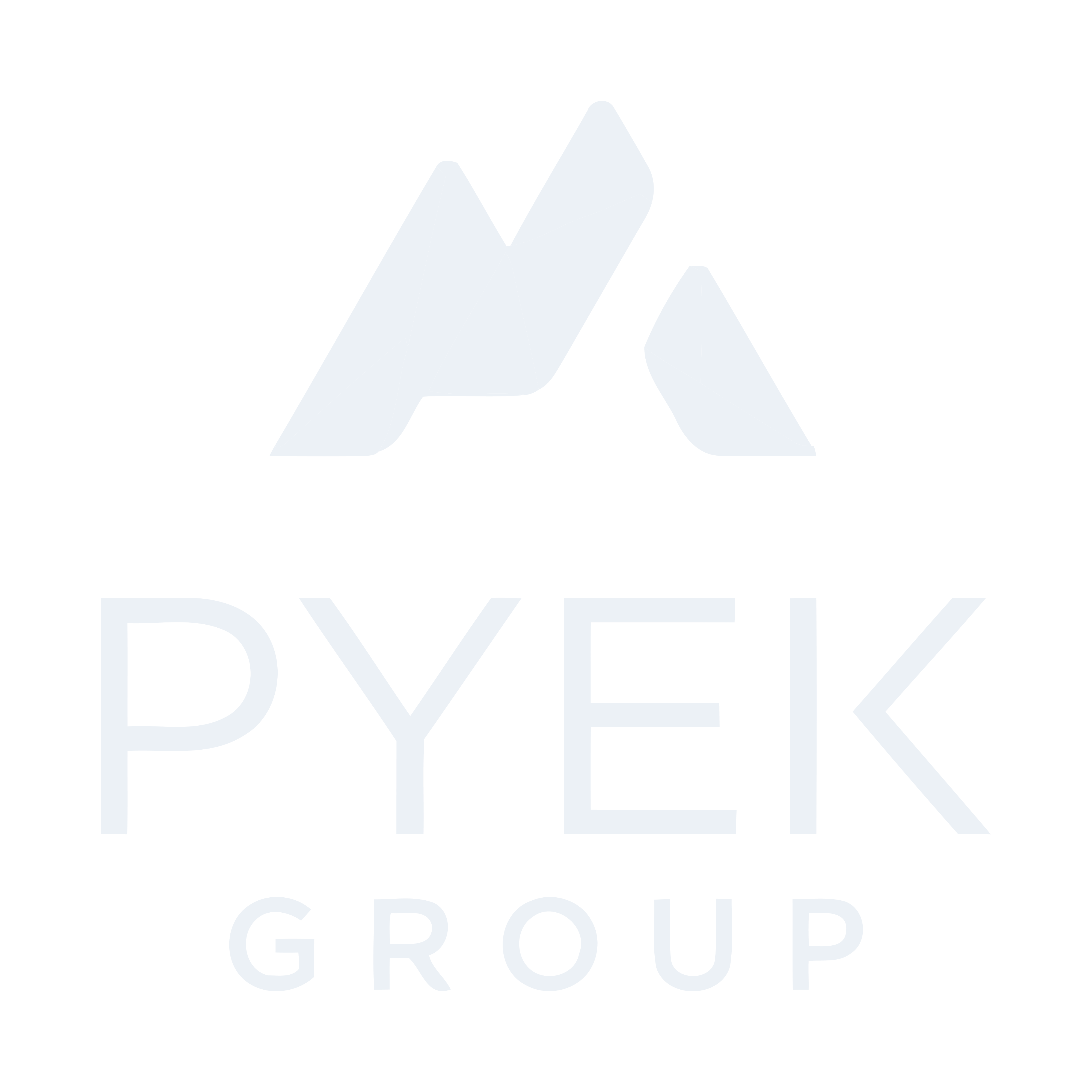 Pyek Group