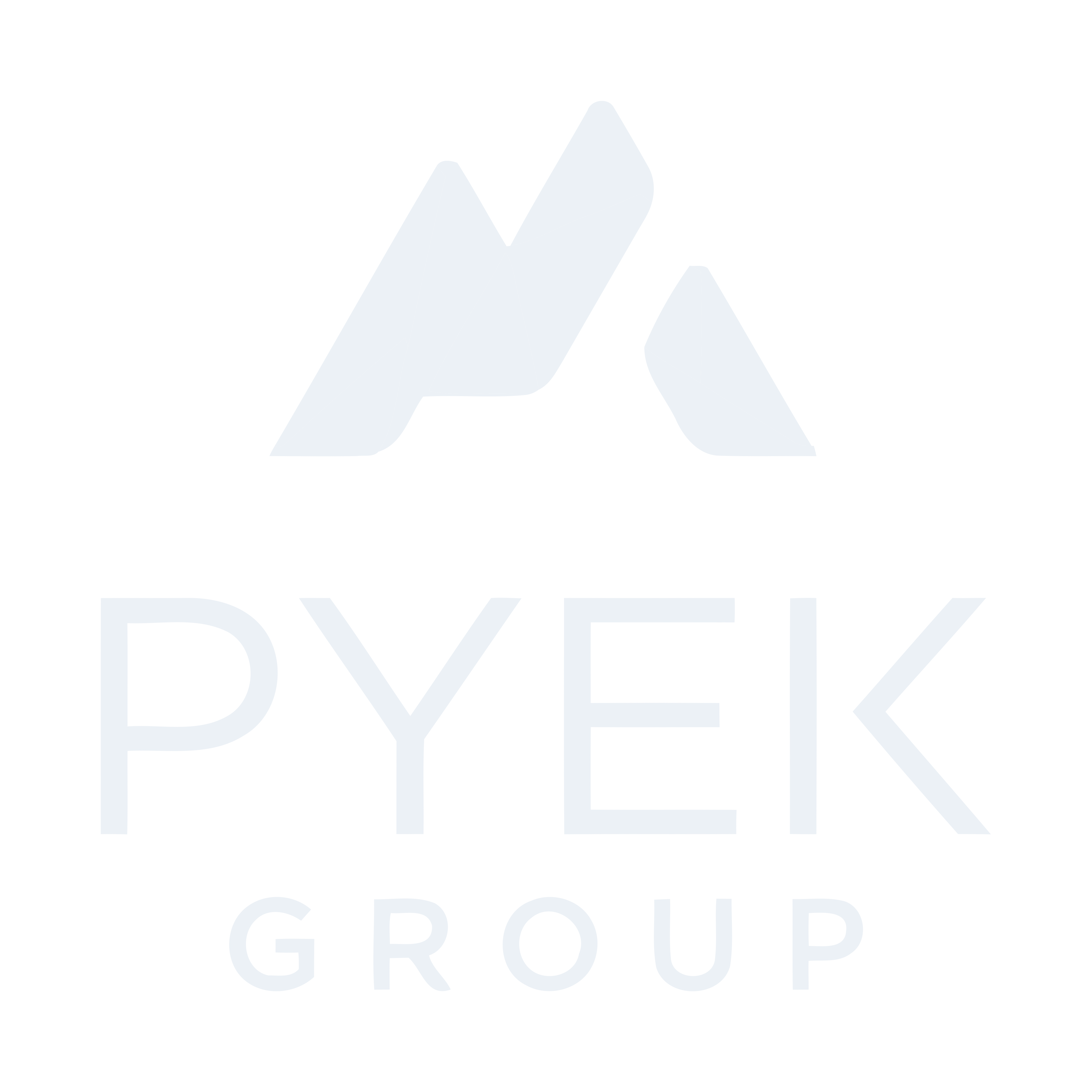 Pyek Group