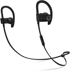 Variant 6