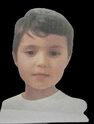 Pedro Afonso Osório Raposo