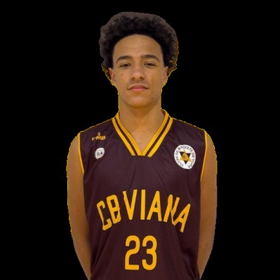 Joaquim Vidal Guedes Tavares dos Santos