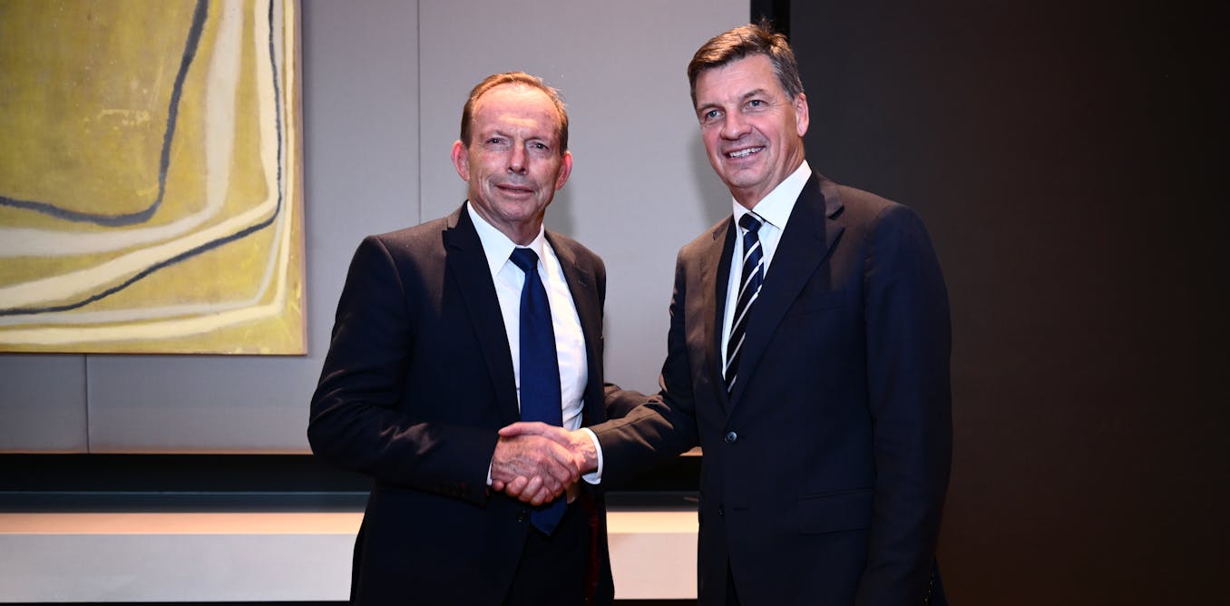 Tony Abbott calls for major Liberal Party membership drive amid internal and electoral pressures