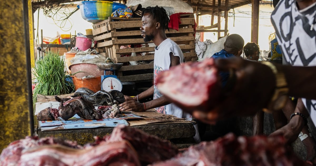 Health experts caution that consumption of wild animals may be contributing to Ebola outbreaks in Congo