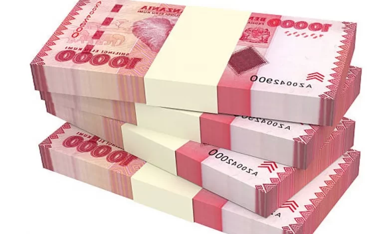Government Allocates 1.39 Trillion Shillings to Support Fee-Free Basic Education
