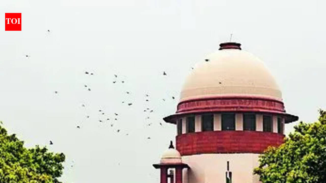 Supreme Court Rules Child's Right to Know Biological Father Supersedes Privacy Concerns