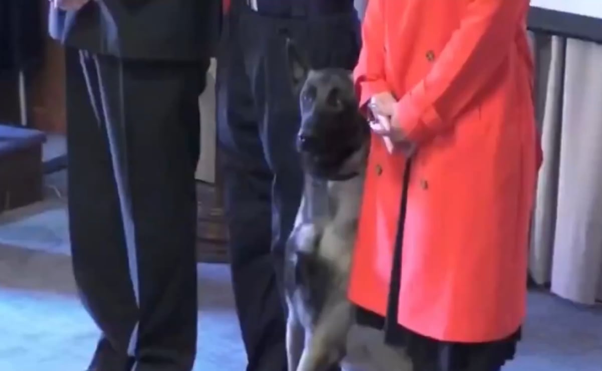 Perro de detección en entrenamiento muerde el uniforme de un vicealmirante durante una ceremonia oficial en Chile