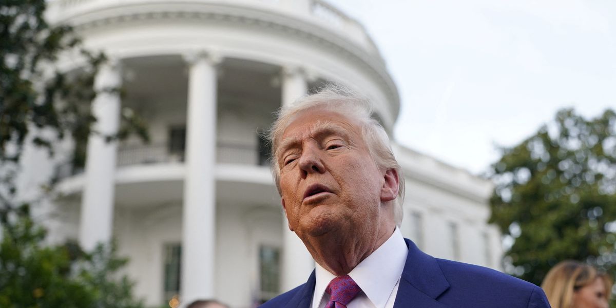 Critics Question Trump's Reflecting Pool Vandalism Claims and Call for Evidence