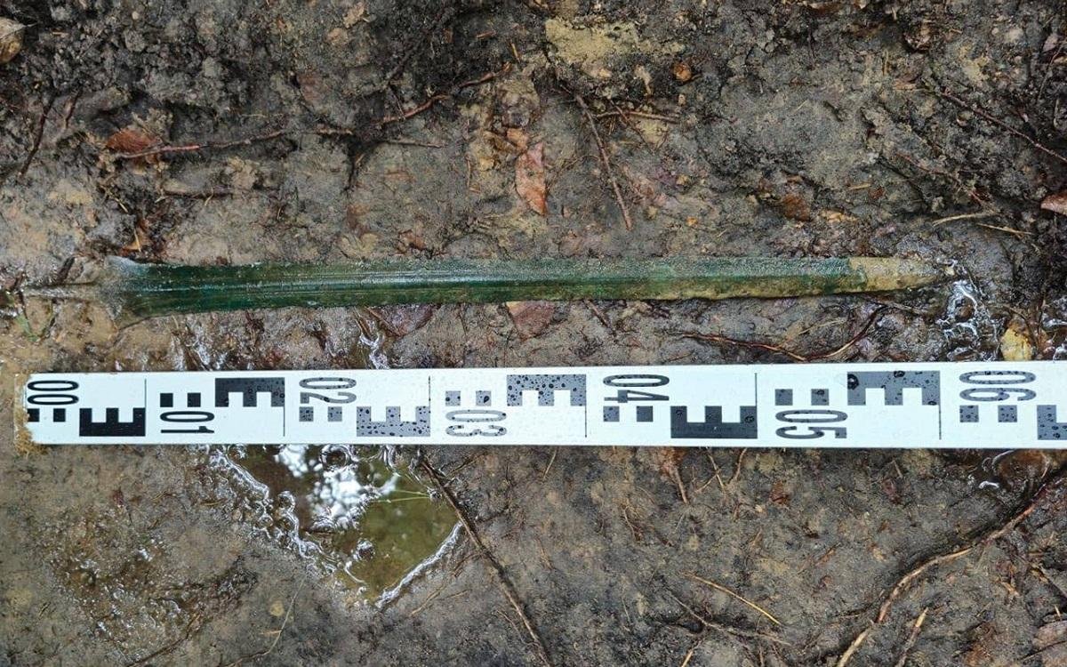 Hallan en un bosque de Polonia una espada de la Edad del Bronce de 2.700 años en posición vertical