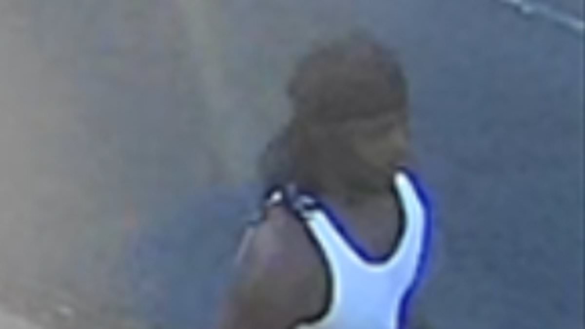 Police use familial DNA techniques to investigate suspected serial rapist linked to two attacks in south-east London