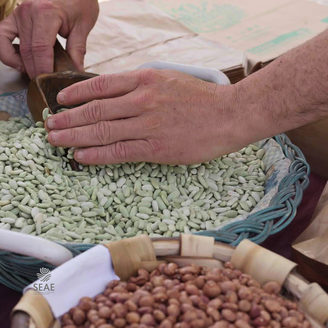 EU misses chance to curb seed patents