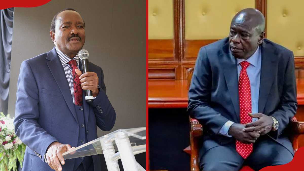 Gachagua Denies Endorsement of Musyoka as Opposition Candidate, Warns Against Ethnic Coalitions