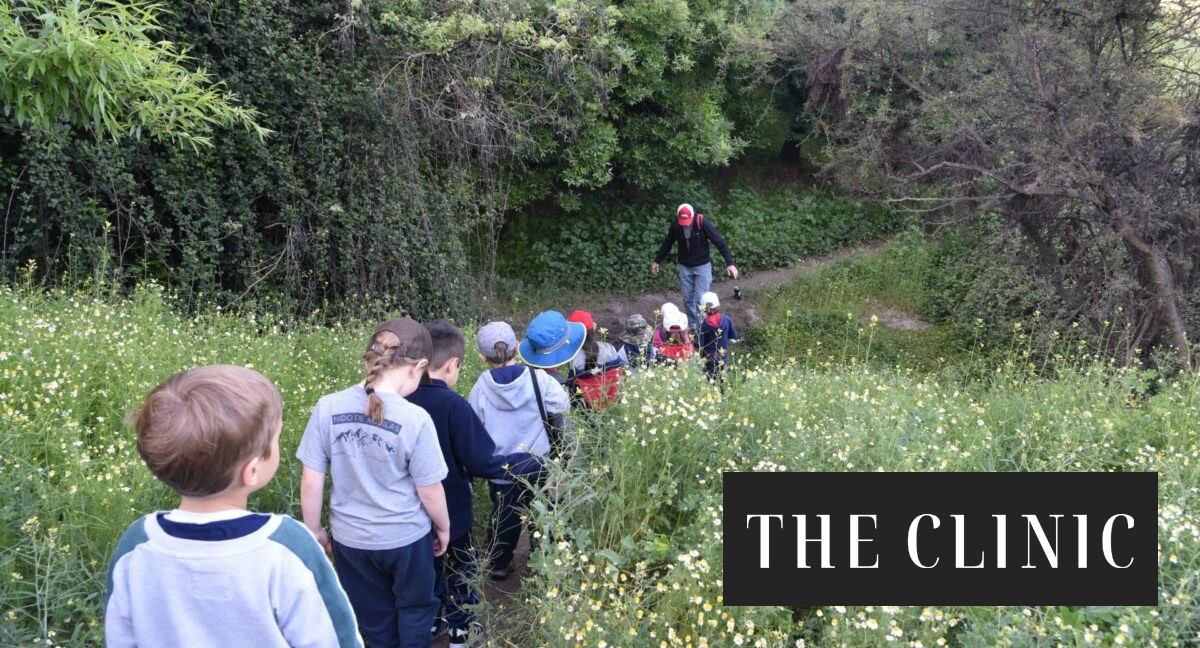 Escuelas chilenas innovan con aprendizaje en la naturaleza
