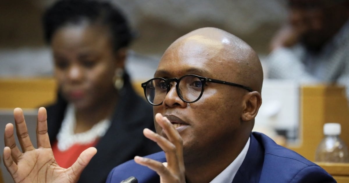 Malatsi details two approaches by Resolve Communications and denies firm arranged Starlink meeting