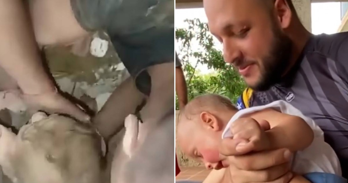 Tragedia en Venezuela: Padre espera recuperar cuerpo de esposa tras terremotos