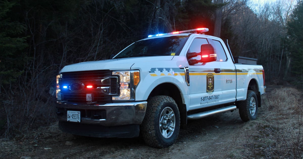 Southern Ontario group faces fines for illegal fishing activities in northern Ontario