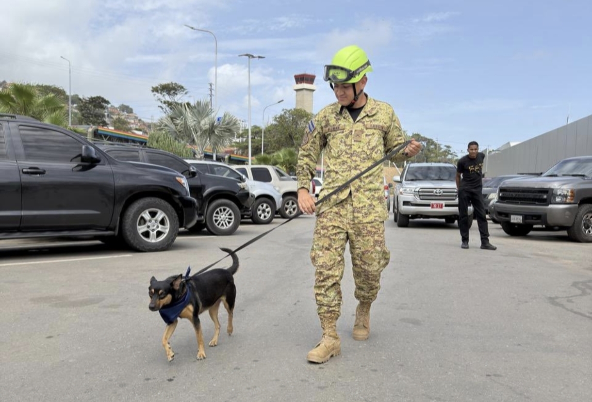 Fénix, la perrita venezolana que se unirá a la Unidad Humanitaria de Rescate de El Salvador