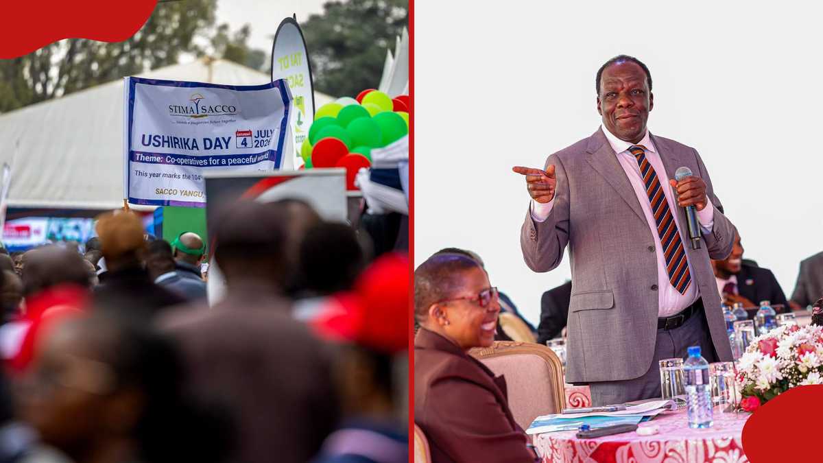Cooperatives Bill and Its Impact on Kenya's Sacco Sector