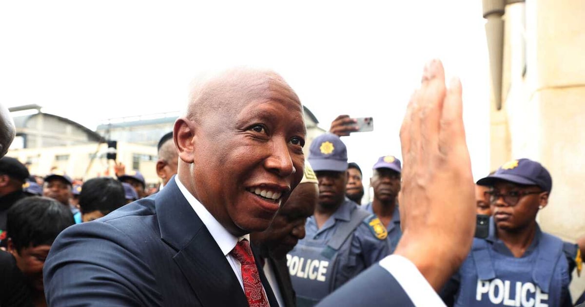 Julius Malema denies orchestrating removal of former intelligence chief amid corruption allegations