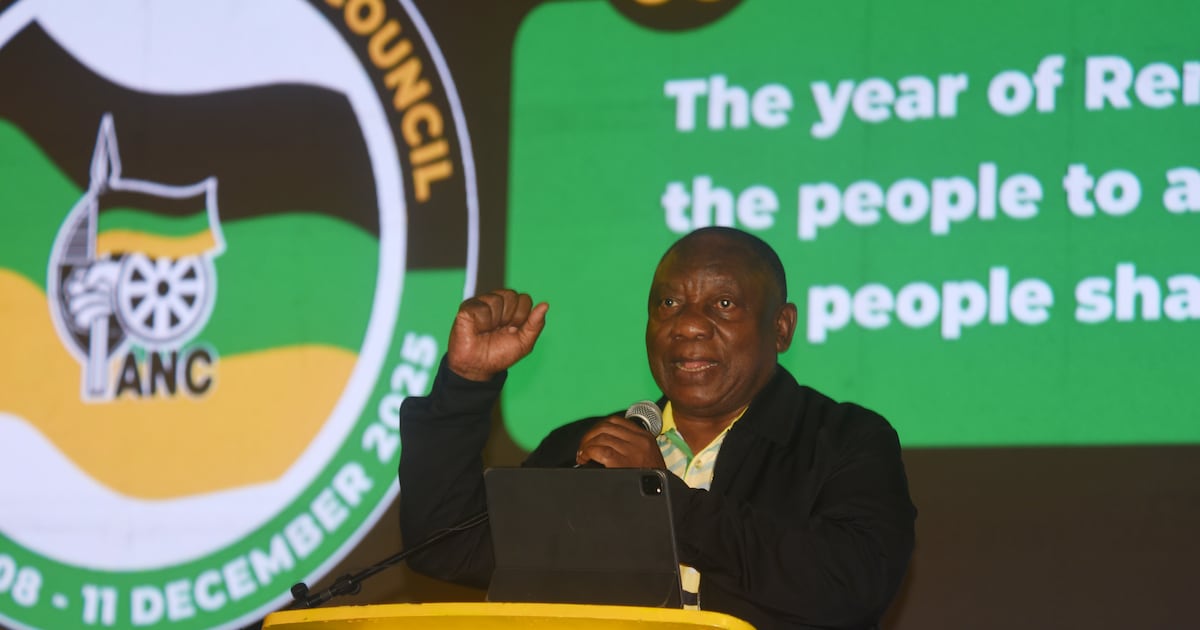 ANC's Leadership Challenges and South Africa's Political Future