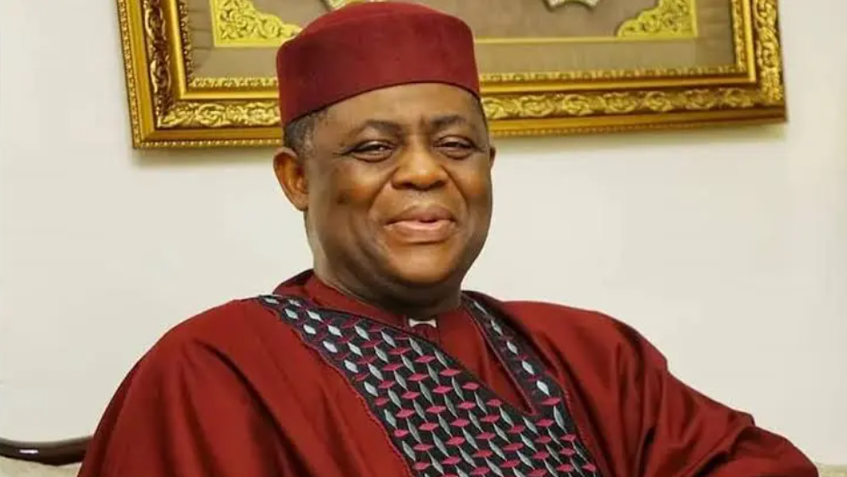 Nigeria's Ambassador Fani-Kayode Navigates South Africa's Immigration Crisis