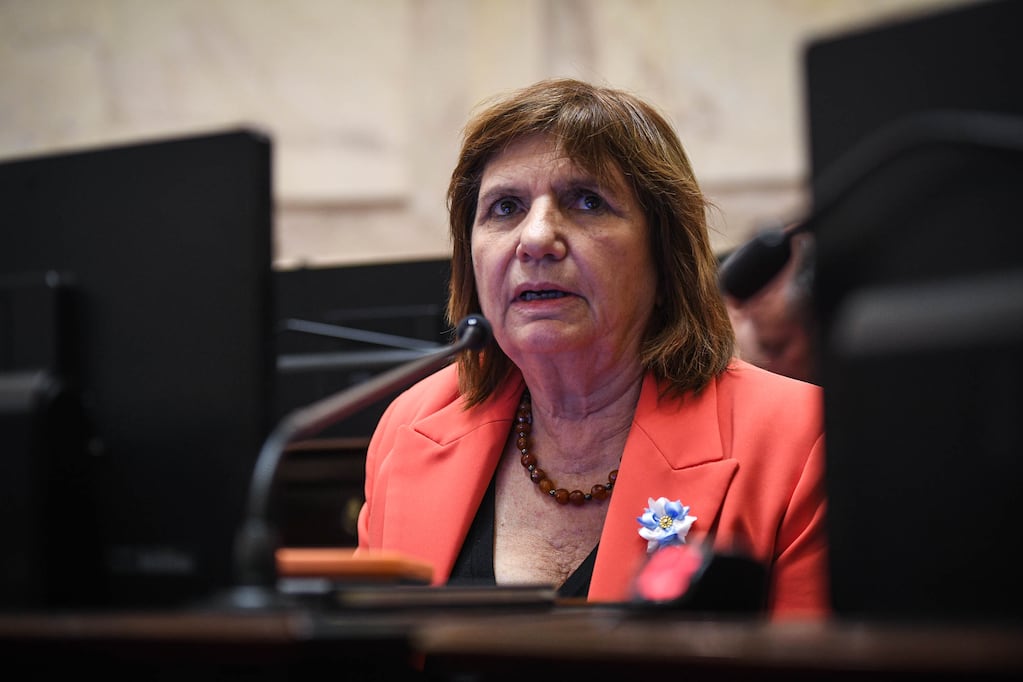Patricia Bullrich critica reforma electoral y cuestiona suspensión de las PASO