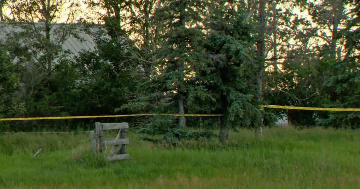 Police Shooting During Domestic Call Near Irricana, Alta Under Investigation