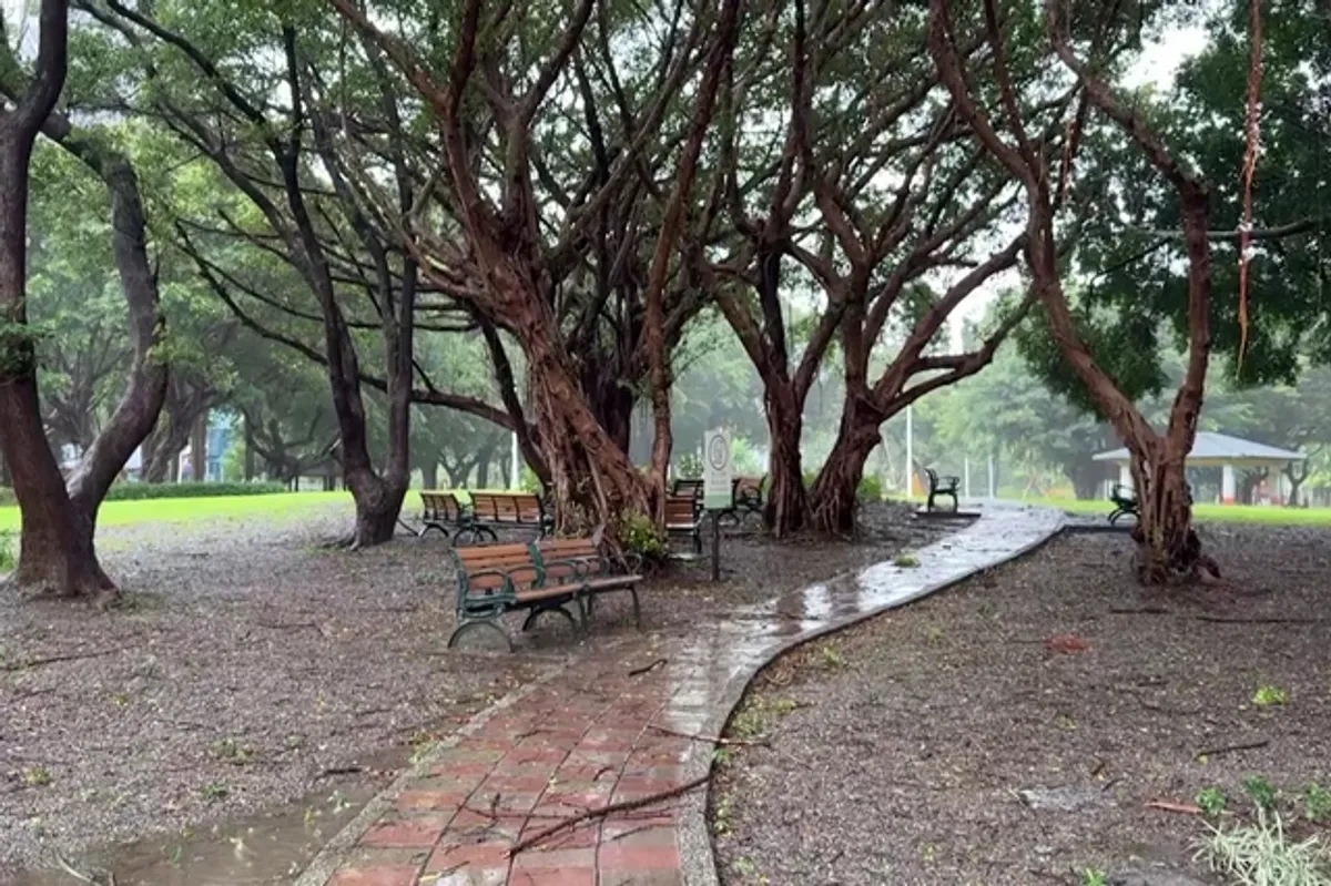 Typhoon Bavi Brings Heavy Rain and Strong Winds to Northern Taiwan
