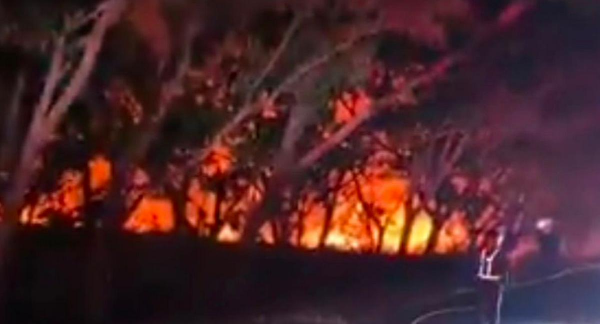 Incendio forestal en variante de Ibagué obliga al cierre de vía cerca del aeropuerto