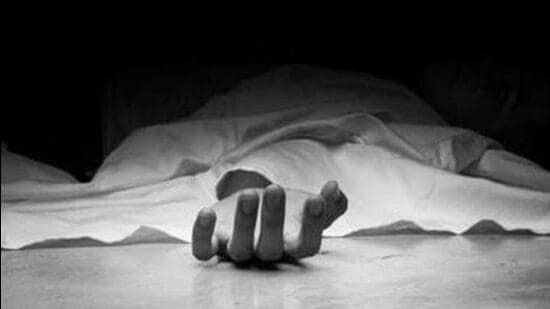 Tragedy at Girnar Pilgrimage: 11-Year-Old Boy Killed by Lion