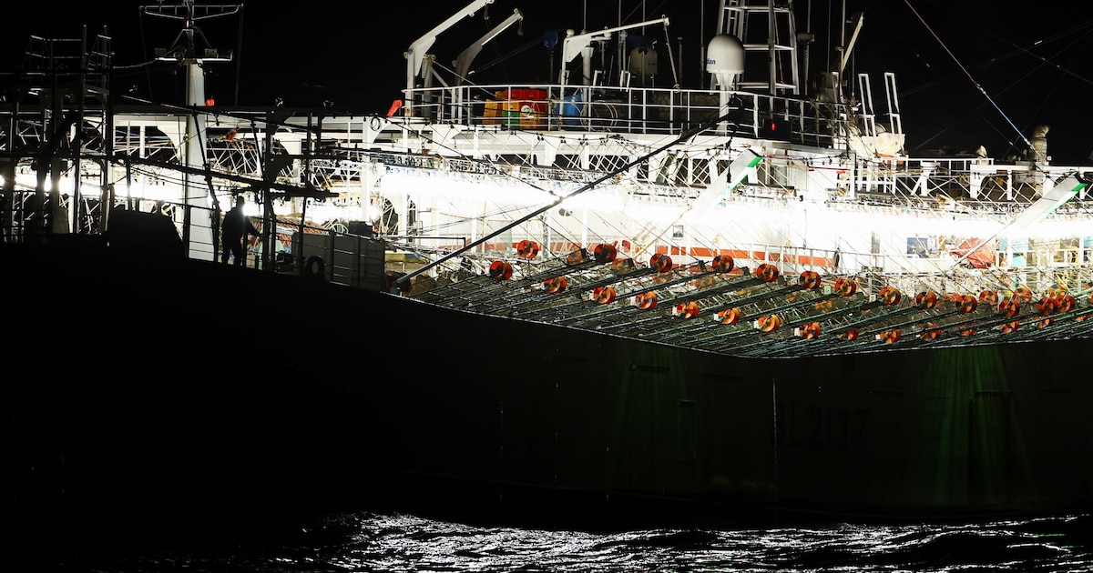 La flota china y el descontrol de la pesca ilegal en el Pacífico