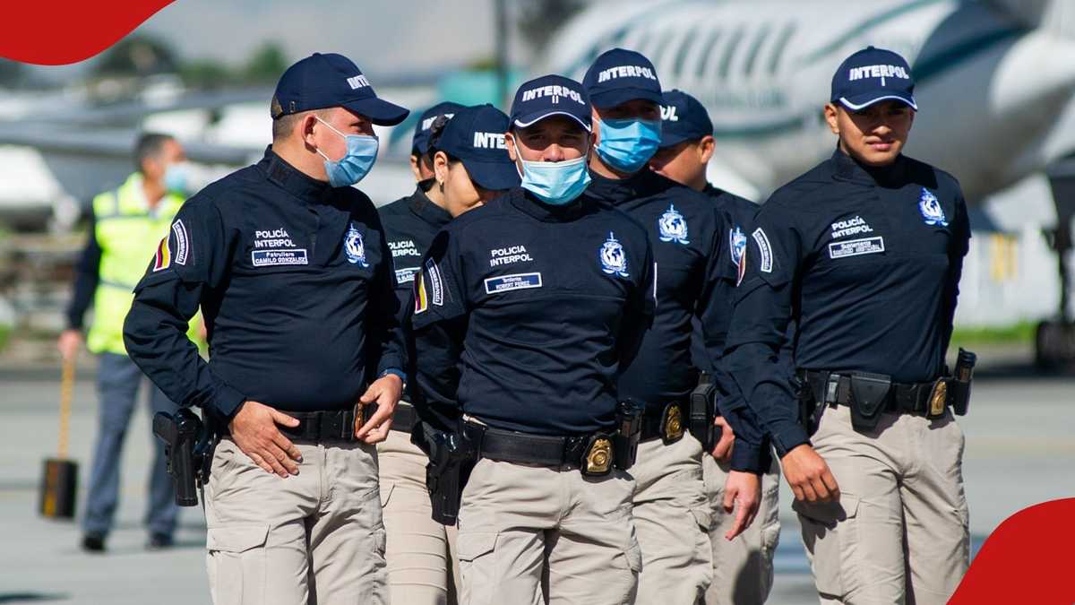 INTERPOL's Global Anti-Fraud Operation Seizes Assets, Arrests Thousands