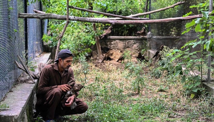 Wildlife Rescuers Address Bird Survival Challenges Amid Pakistan's Rising Temperatures