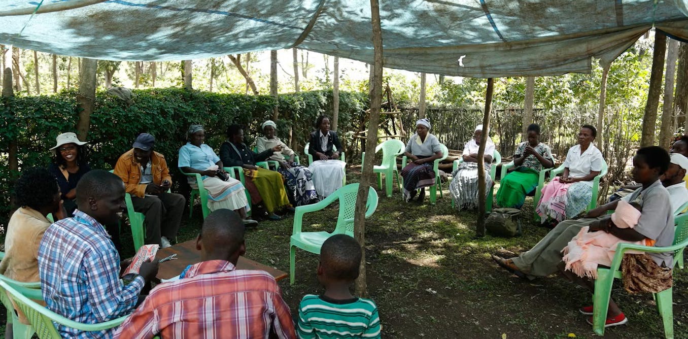Africa's Climate Resilience Lessons from the Super El Niño Crisis