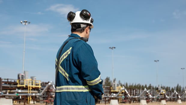 Alberta's oil production expansion faces challenges in demand, labor, and emissions amid carbon capture plans