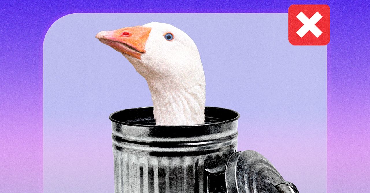 Goose App Faces Criticism Over Moderation and Inclusivity Issues