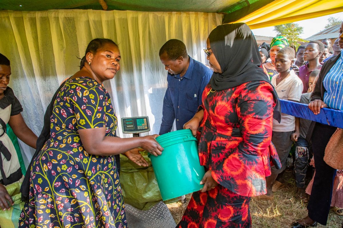Ileje District Council Unveils Plan to Enhance Agricultural Markets