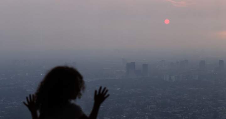 Wildfire Smoke and Its Impact on Brain Health: A Growing Health Concern