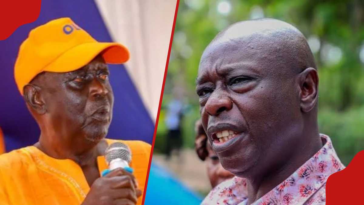 ODM Leader Calls for Peace After DCP's By-Election Victory, Defends IEBC