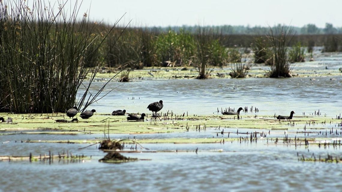 Argentina Completa Mapa Integral de Ecosistemas para la Gestión Ambiental