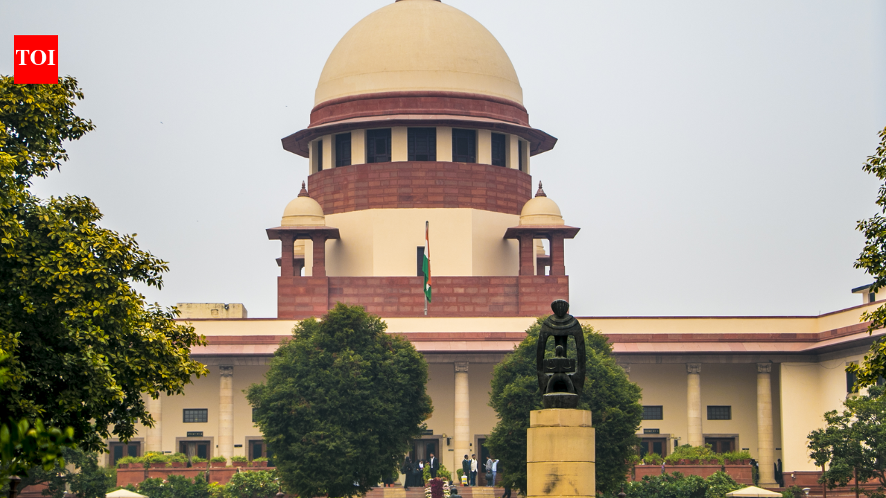 Delhi High Court's Order Disrupts Consular Services, Government Seeks Supreme Court Intervention