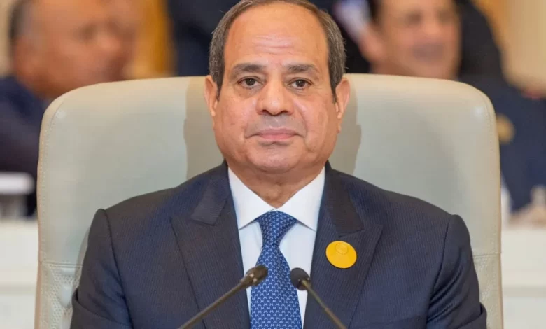 Fattah's Visit Promotes Tanzania-Egypt Relations and Infrastructure Projects