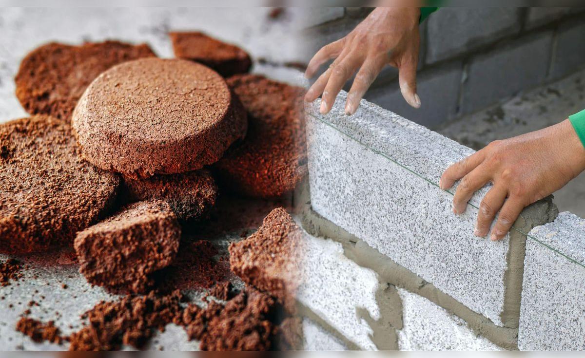 Residuos de café reforzando el concreto: innovación sostenible en construcción