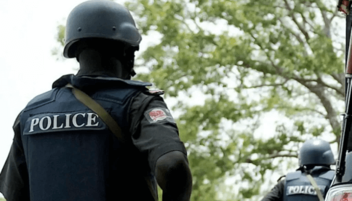 Yobe State Police Arrest Drug Trafficker and Kidnapping Kingpin