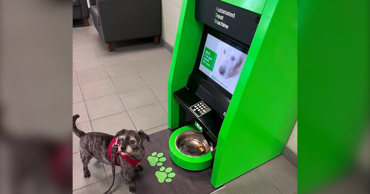 Vancouver West End Offers Dog-Friendly ATM Service